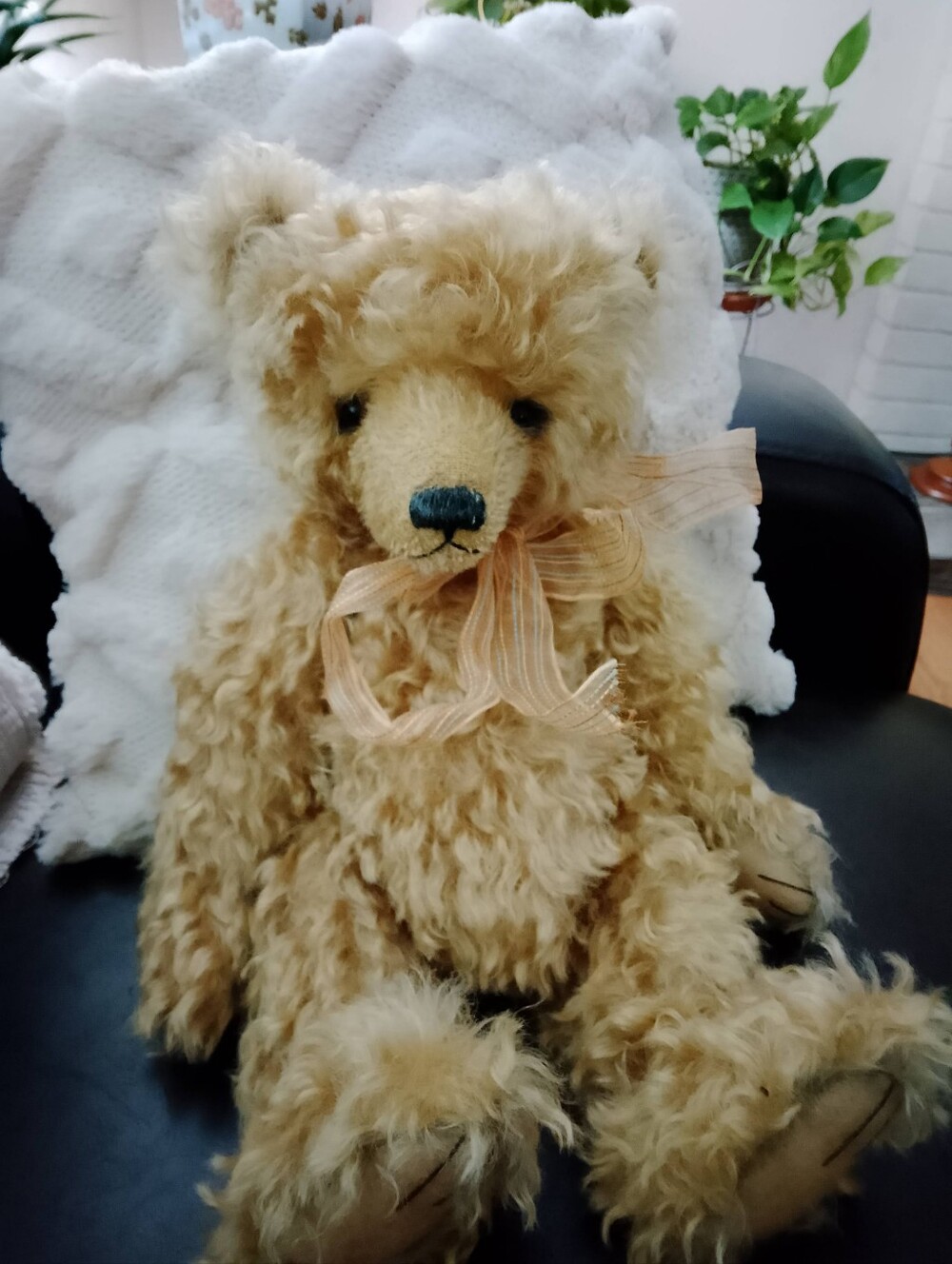 Mohair Artist Bear